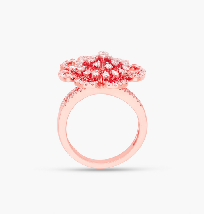 The Roseate Ring